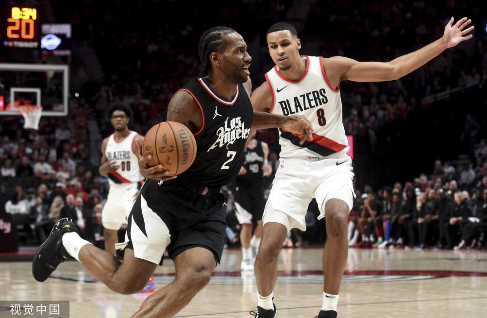 植物的叶片 植物的叶片