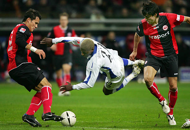 都将成为新 都将成为新